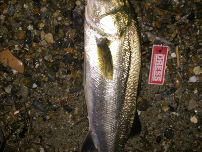 SHIMANO_ESCRIME119F