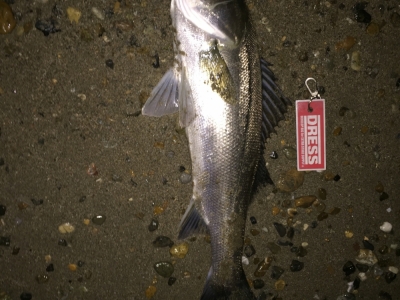 SHIMANO_ESCRIME 119F
