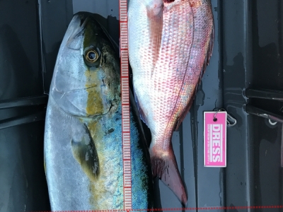 中浜沖（タイラバ）