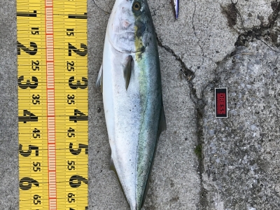 江田島にて　セットアッパー