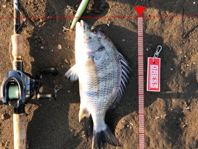 相生橋　サイレントアサシン125F