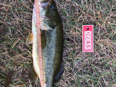 カバー撃ち2