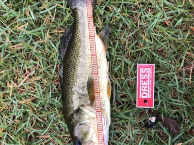巻き物で！