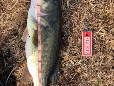 釣り納め