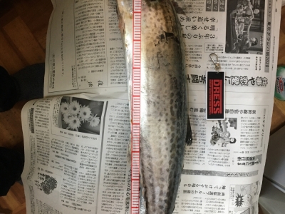 貝塚人工島
