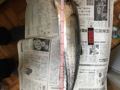 貝塚周辺