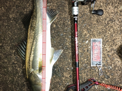 同じく尾鷲で連続ヒット2