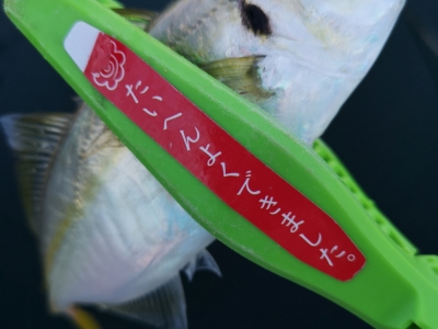 マズメアジング