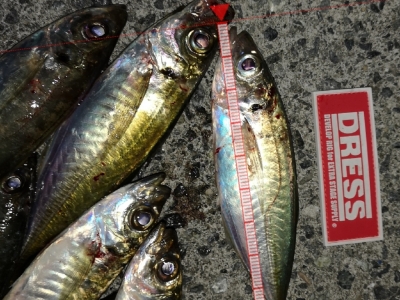 サイズダウン⤵️