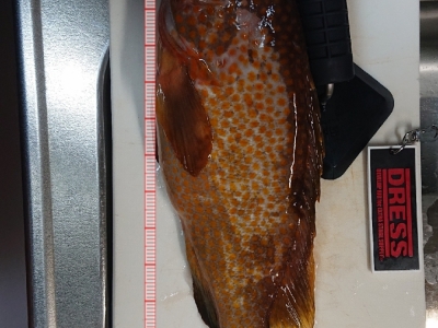 900g