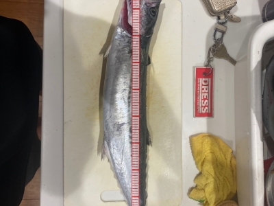 やっと釣れた