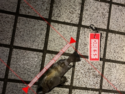 20210130宇品