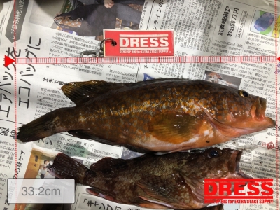 今年初