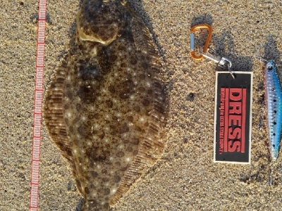 ４連休初日はソゲ