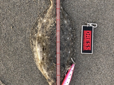 釣り納め。